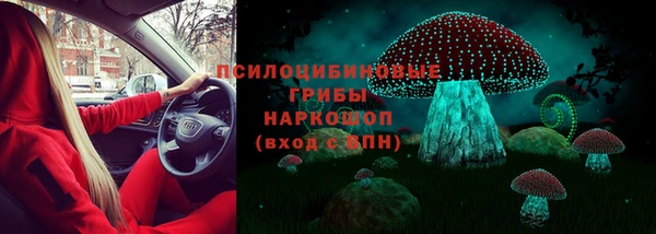 PSILOCYBIN Аркадак