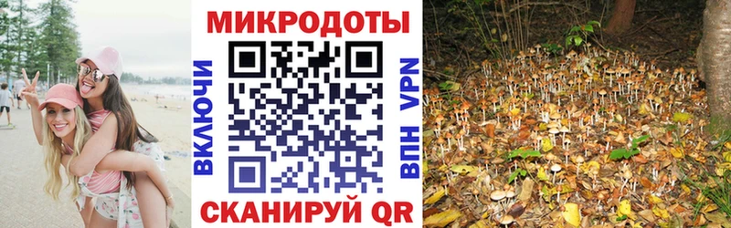 Галлюциногенные грибы Psilocybine cubensis  blacksprut как войти  Армянск 